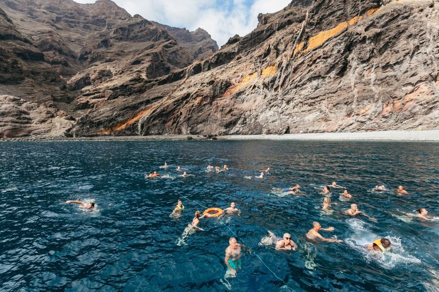 Adeje: Whale and Dolphin Watching Cruise with Lunch and Swim - The swim-and-lunch anchor: Diego Hernandez Bay or Masca/Los Gigantes