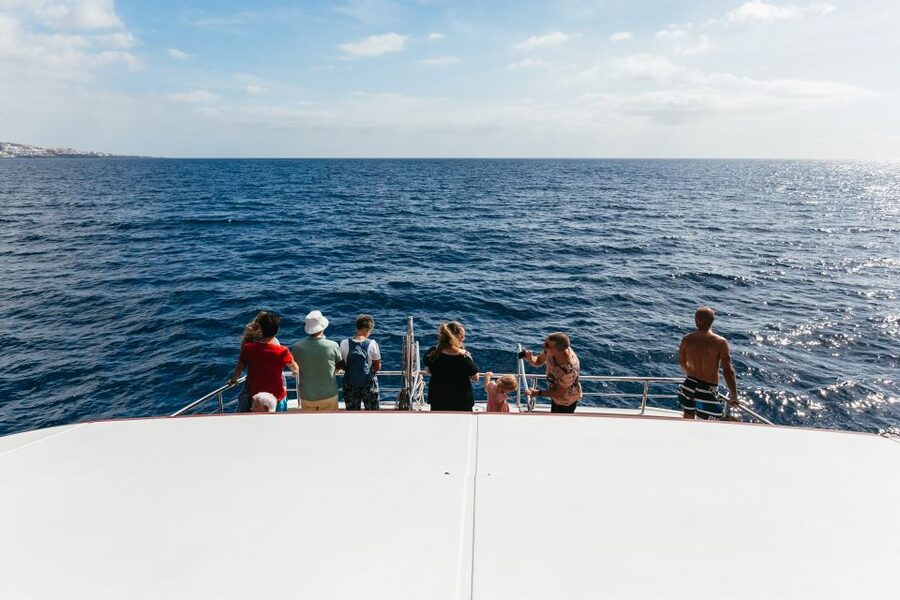 Adeje: Whale and Dolphin Watching Cruise with Lunch and Swim - The included lunch, drinks, and what “good value” really means here