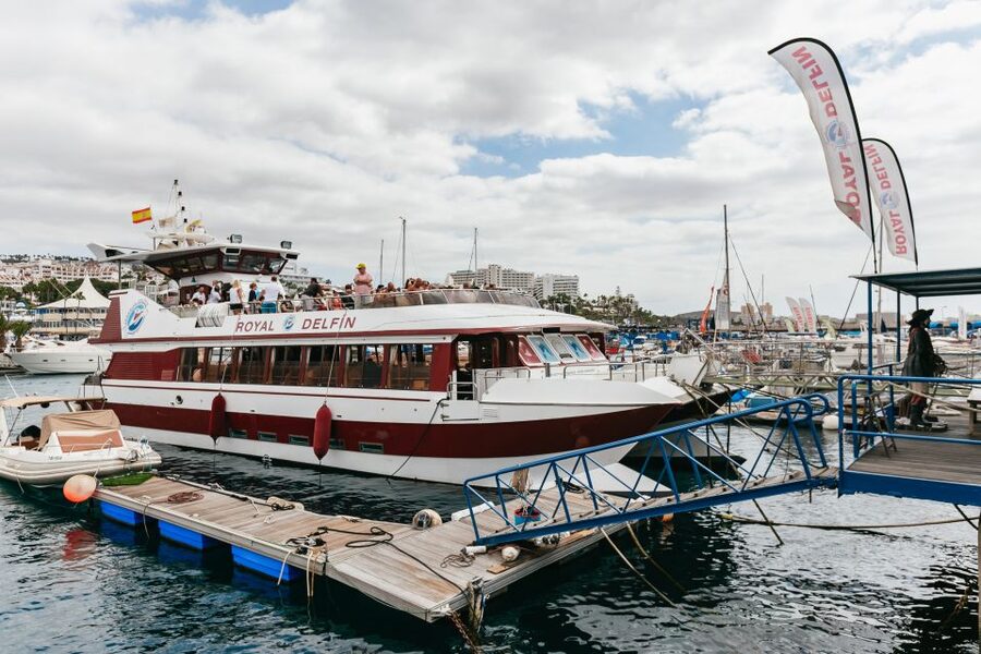 Adeje: Whale and Dolphin Watching Cruise with Lunch and Swim - Motion and seasickness: how to make the trip comfortable