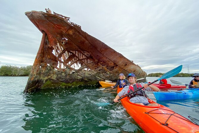 Adelaide Dolphin Sanctuary and Ships Graveyard Kayak Tour - Should you book the Adelaide Dolphin Sanctuary and Ships Graveyard kayak tour?