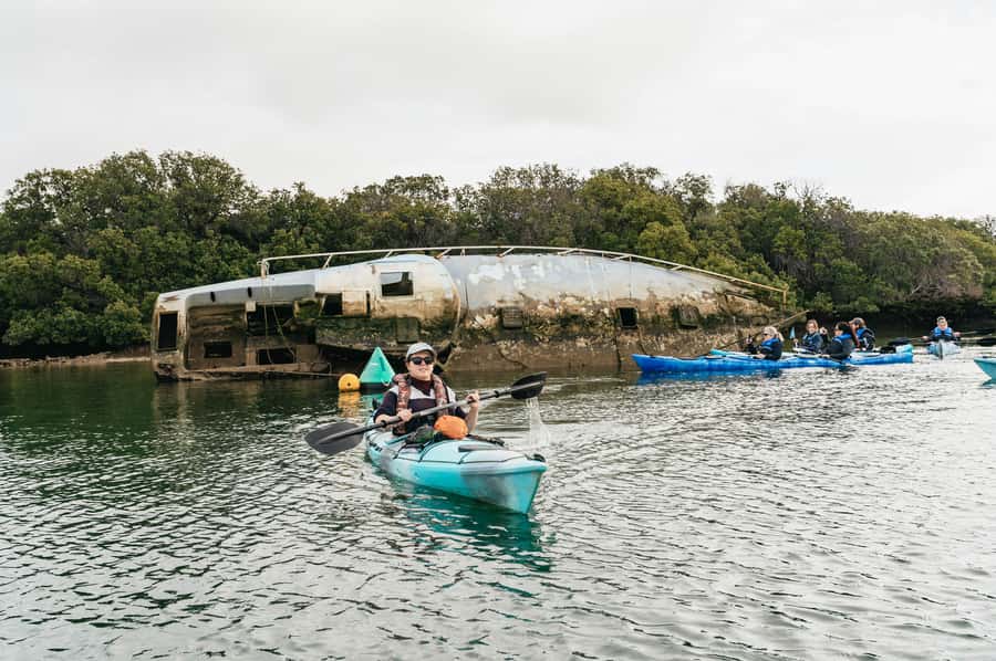 Adelaide: Dolphin Sanctuary Eco Kayaking Tour - Weather, wind, and tides: the real schedule maker