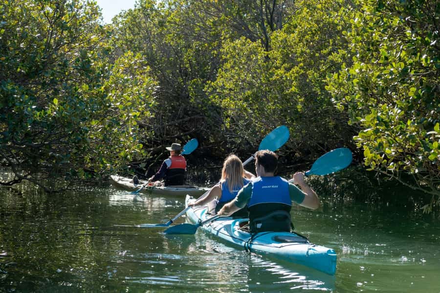Adelaide: Dolphin Sanctuary Eco Kayaking Tour - Angas Inlet Boat Club launch: the calm before the paddle