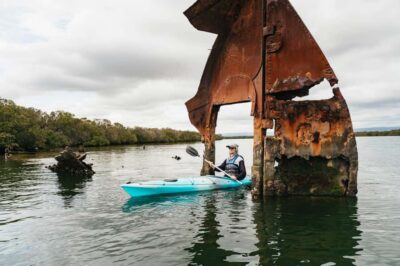 Adelaide: Dolphin Sanctuary Eco Kayaking Tour - Kayaking Adelaide’s dolphin sanctuary mangrove creeks