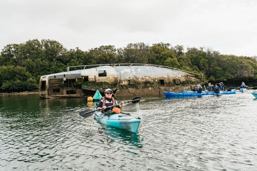 Adelaide: Dolphin Sanctuary Eco Kayaking Tour - What to bring for a comfortable 3-hour paddle