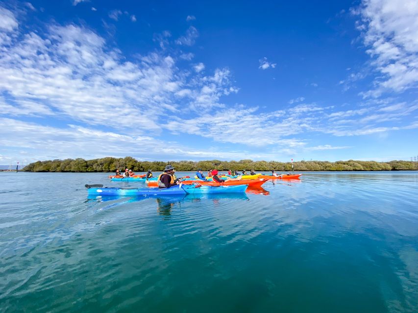 Adelaide: Dolphin Sanctuary Mangroves Kayak Tour - What to bring for Garden Island kayaking (and what not to wear)