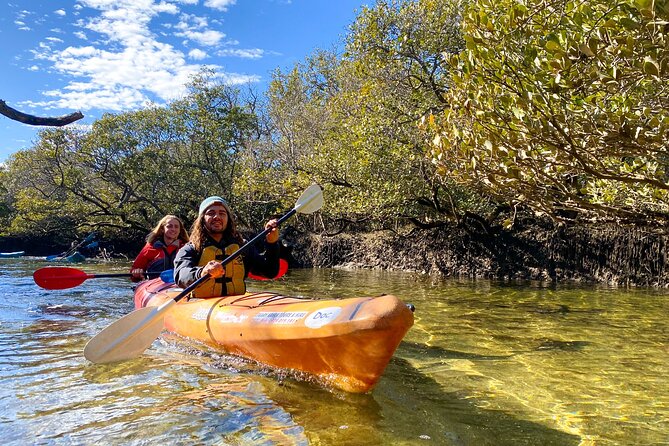 Adelaide Dolphin Sanctuary Mangroves Kayaking Tour - Key takeaways before you paddle