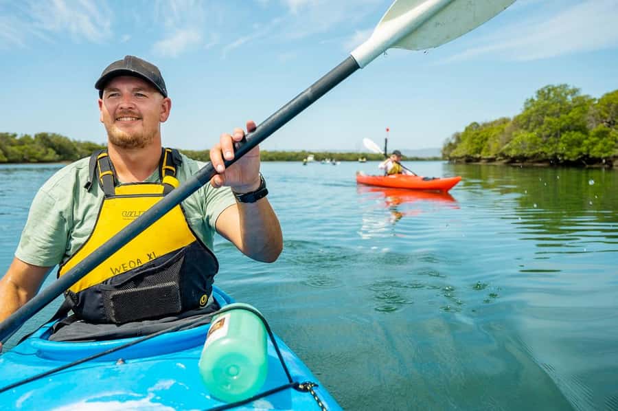 Adelaide: Dolphin Sanctuary Single or Double Kayak Rental - Key highlights worth aiming for