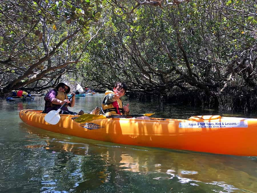 Adelaide: Dolphin Sanctuary Single or Double Kayak Rental - Paddling through Adelaide’s mangrove creeks: your route is the point