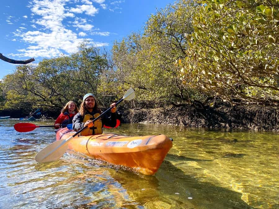Adelaide: Dolphin Sanctuary Single or Double Kayak Rental - Gear, briefing, and the quick path to feeling confident