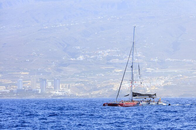 Adults Only Tenerife Freebird Whale Dolphin Catamaran with Lunch - Snorkelling gear and swim rules: what to bring