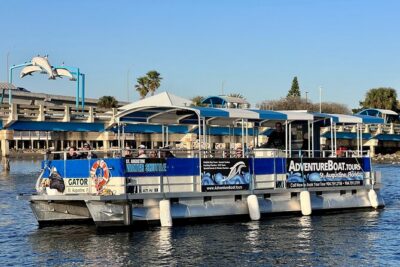 Adventure Boat Tours Dolphin Tails & History Cruise St Augustine - Dolphin Tails: how to maximize your chances near the inlet