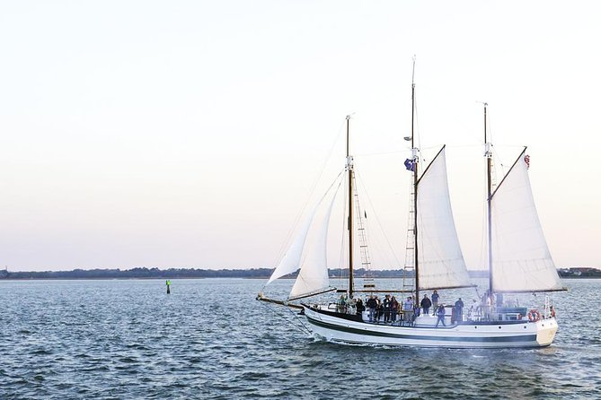 Afternoon Schooner Sightseeing Dolphin Cruise on Charleston Harbor - Dolphins in Charleston Harbor: Bottle-Nose Chances and Bird-Spotting Bonus