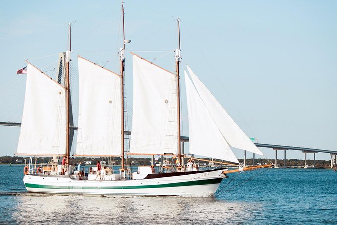 Afternoon Schooner Sightseeing Dolphin Cruise on Charleston Harbor - Money and Value: Why $45 Feels Fair for 90 Minutes on a Tall Ship