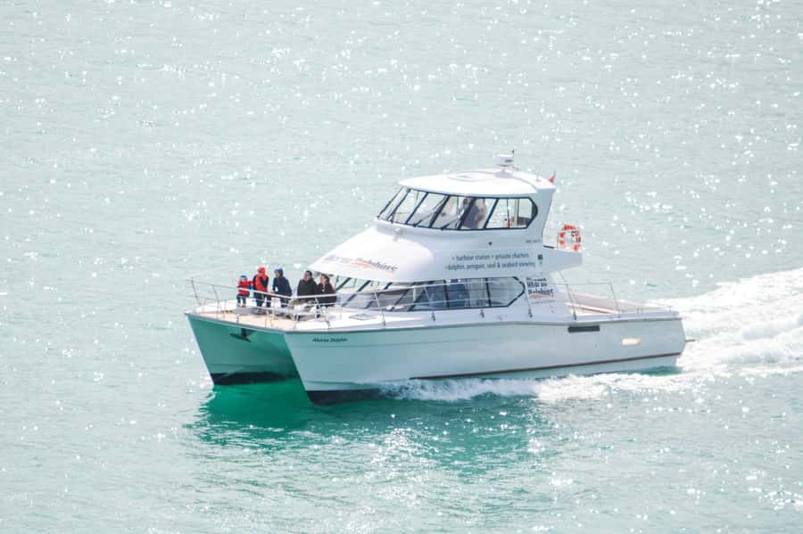 Akaroa: Dolphin Nature Cruise - Quick takeaways before you go