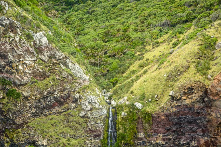 Akaroa: Dolphin Nature Cruise - The best onboard element: continuous, local knowledge from the skipper