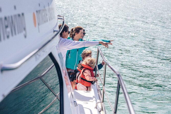 Akaroa Dolphins ~ Harbour Nature Cruise - Roomy Catamaran Days in Akaroa Harbour