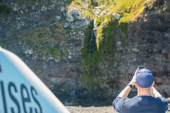 Akaroa Dolphins ~ Harbour Nature Cruise - Cruise Route: Akaroa Lighthouse, Town Views, Banks Peninsula
