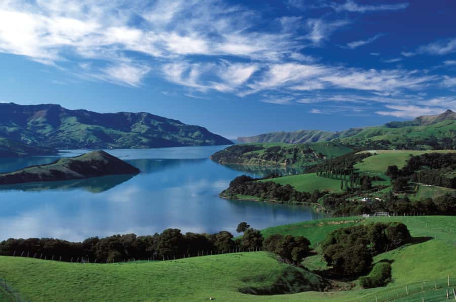 Akaroa Harbour 2-Hour Dolphin Nature Cruise - The volcanic scenery: sea cliffs, sea caves, Scenery Nook, and Nikau Palm Gully