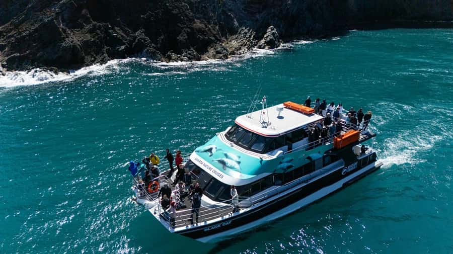 Akaroa Harbour 2-Hour Dolphin Nature Cruise - What to bring (and wear) for comfort on the water