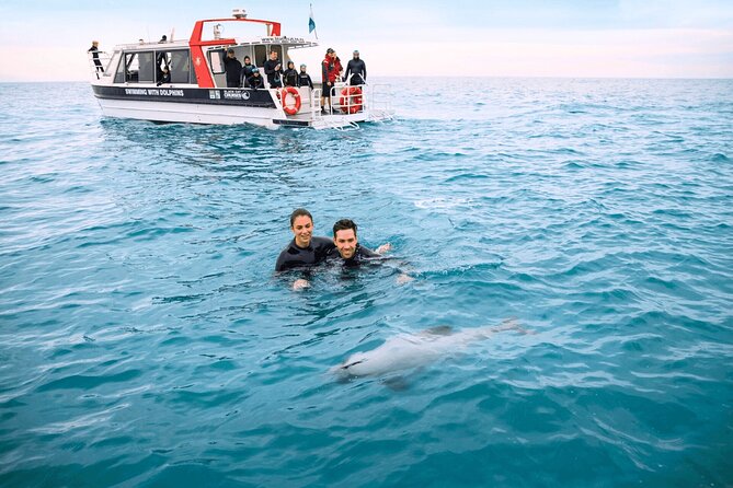 Akaroa Swim with Dolphins Tour from Christchurch - In the water: wetsuit, snorkel gear, and the Hector’s dolphin rules
