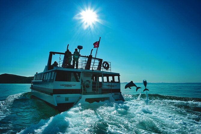 Akaroa Swim with Dolphins Tour from Christchurch - Price and value: is around $223 a good deal?