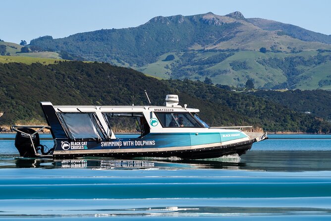 Akaroa Swim with Dolphins Tour from Christchurch - Akaroa Harbour cruise: how the captain finds dolphins