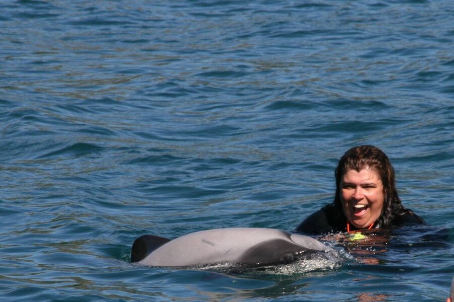 Akaroa: Swimming with Wild Dolphins Experience - Akaroa Harbour + Hector’s dolphins: why this swim feels so special