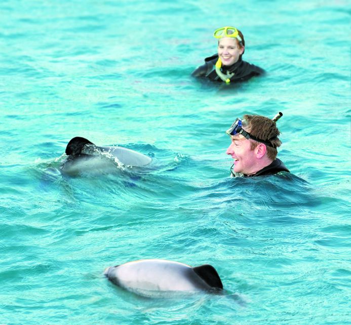 Akaroa: Swimming with Wild Dolphins Experience - Small-group sailing in Akaroa: why 12 swimmers matters