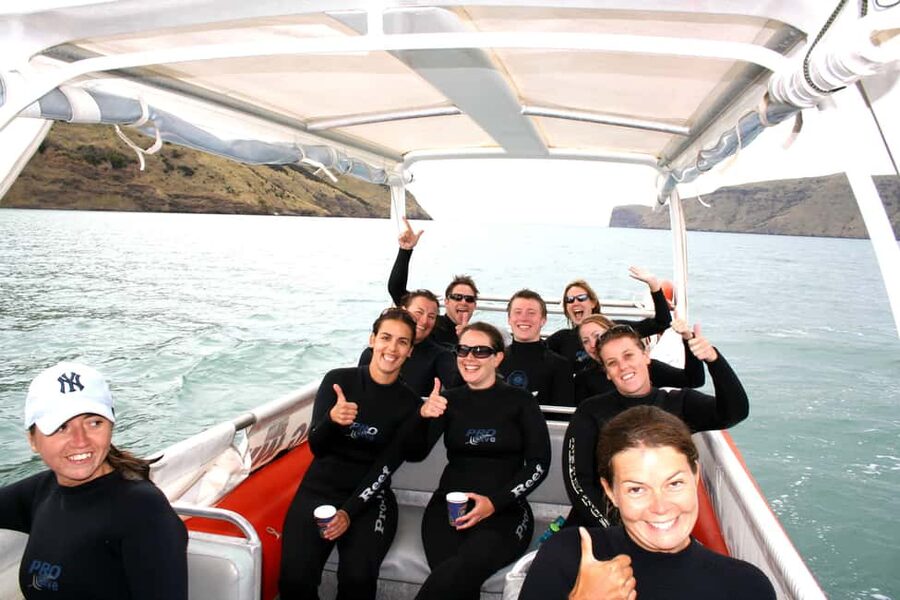 Akaroa: Swimming with Wild Dolphins Experience - What you wear, what you get, and what to bring