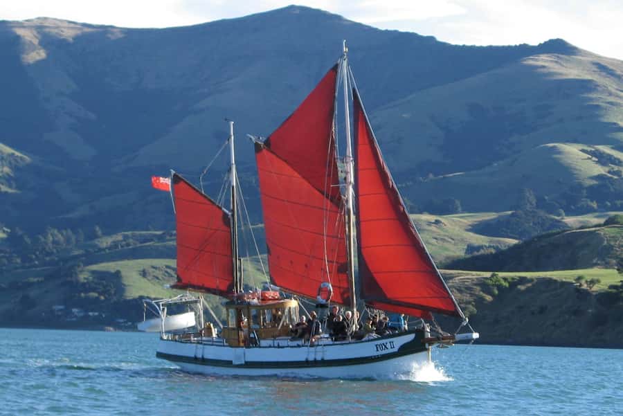 Akaroa: Wildlife Cruise with Dolphins and Penguins - Daly’s Wharf to The Fox II: what the start feels like