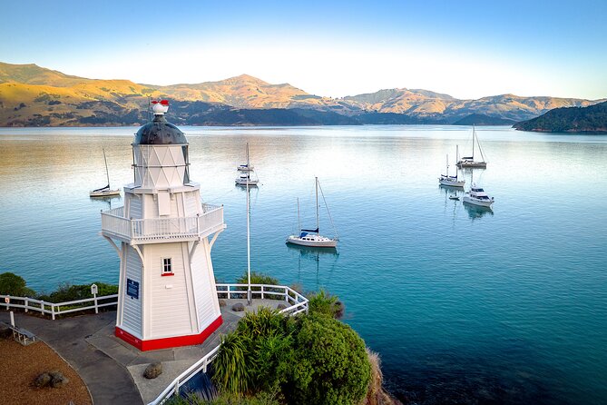 Akaroa with optional dolphin cruise (Small Group Tour) - Key things to know before you go