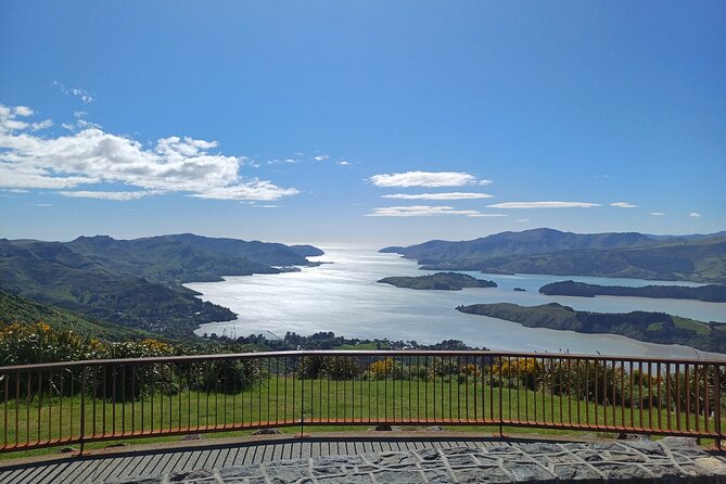 Akaroa with optional dolphin cruise (Small Group Tour) - Port Hills to Gebbies Pass: the quick scenic orientation that pays off