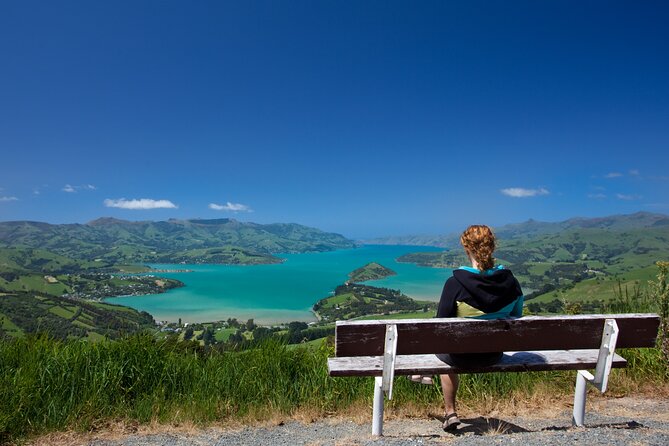 Akaroa with optional dolphin cruise (Small Group Tour) - Kaituna Valley Scenic Reserve: afternoon tea plus an easy native bush walk