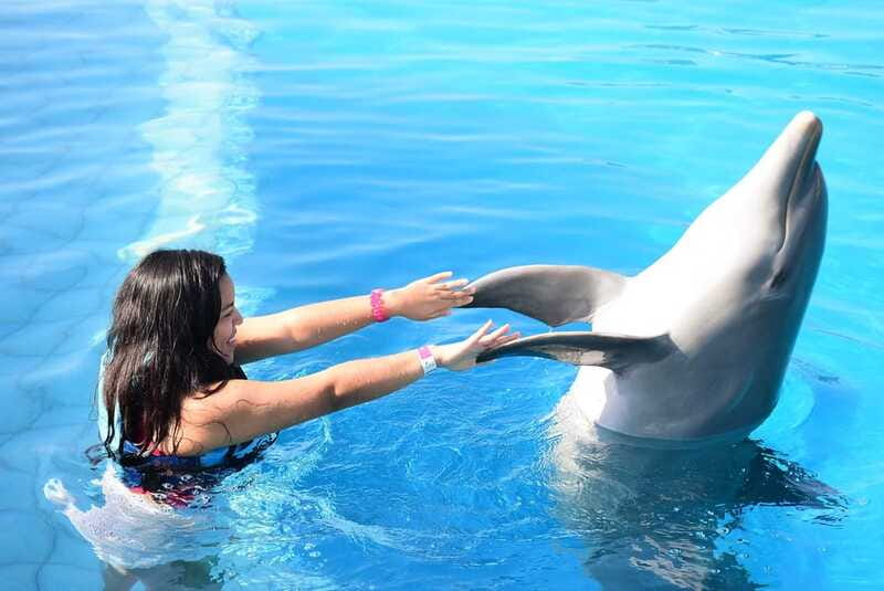 Akumal: Dolphin Encounter - What to Bring (So You Don’t Get Stuck in Beach Mode)