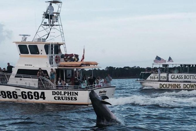 Alabama Gulf Coast Dolphin Cruise - Key highlights I’d circle before you go