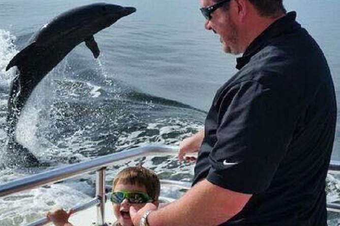 Alabama Gulf Coast Dolphin Cruise - Wildlife beyond dolphins: crabs, hermit crabs, and Gulf energy