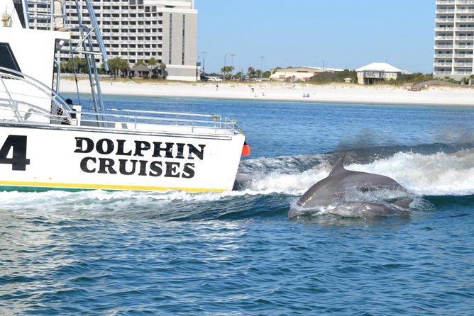 Alabama Gulf Coast Dolphin Cruise - Orange Beach views on the way out and back