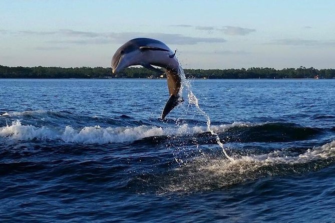 Alabama Gulf Coast Dolphin Cruise - Who should book this cruise (and who might prefer something else)
