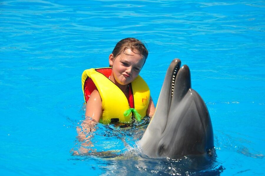 Alanya: Dolphin and Seal Show Ticket with Hotel Transfers - Should You Book the Alanya Dolphin and Seal Show?