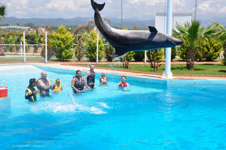 Alanya: Dolphin and Seal Show Ticket with Hotel Transfers - Seating and Splash Zone Tips for Real-World Fun