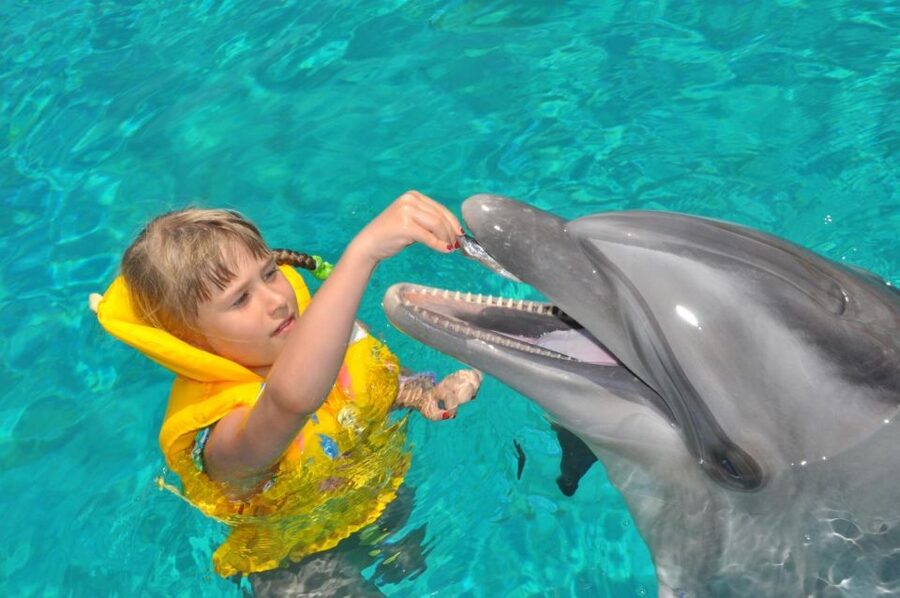 Alanya: Dolphin and Seal Show Ticket with Hotel Transfers - Quick Practical Notes Before You Go