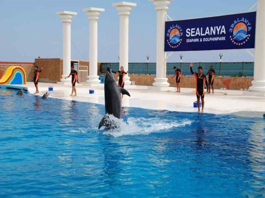 Alanya: Dolphin and Seal Show Ticket with Hotel Transfers - Inside Sealanya Dolphinpark: How the Show Flows