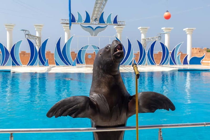 Alanya: Sealanya Dolphinpark Dolphin Show Tour - Key things to know before you go