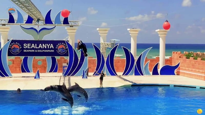 Alanya: Sealanya Dolphinpark Dolphin Show Tour - Photos, videos, and the end-of-show picture moment
