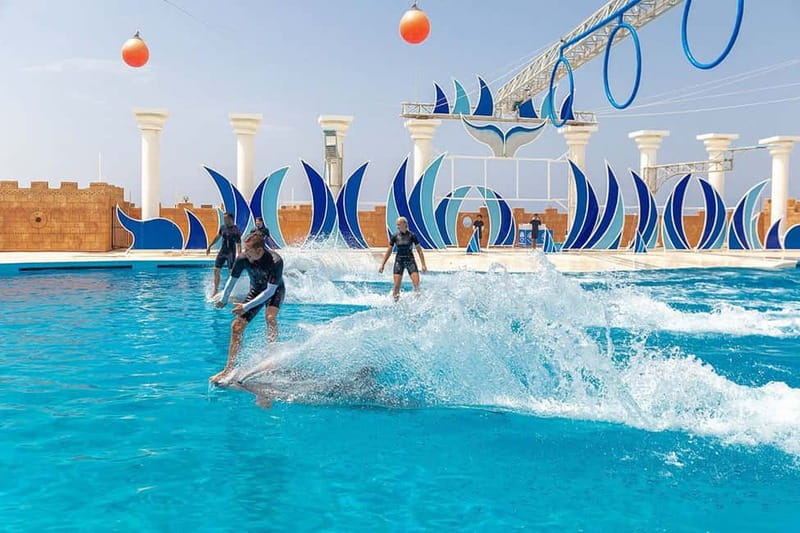 Alanya: Sealanya Dolphinpark Dolphin Show Tour - Who this is best for (and who might want a different plan)