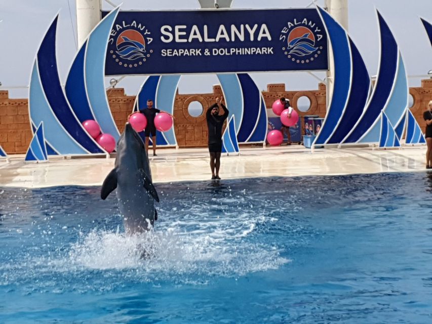 Alanya: Sealanya Dolphinpark Dolphin Show Tour - Practical tips to make the most of your seats and your time