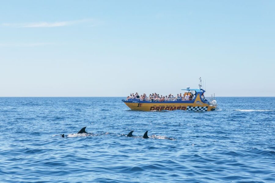Albufeira: 2.5-Hour Benagil Caves & Dolphin Watching - Included extras that quietly add value