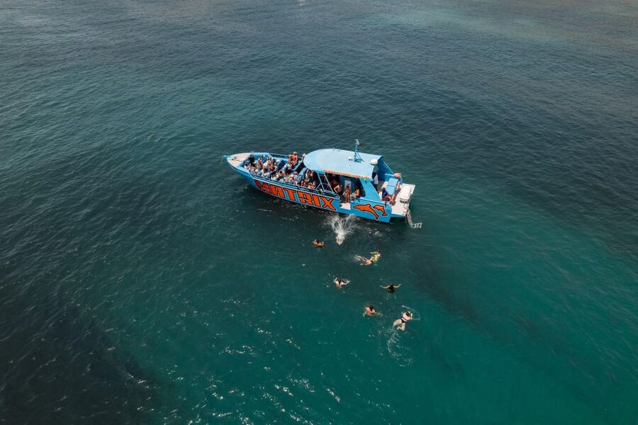 Albufeira: 2.5-Hour Dolphin Watching and Caves Trip - Should You Book This Albufeira Dolphin and Caves Trip?
