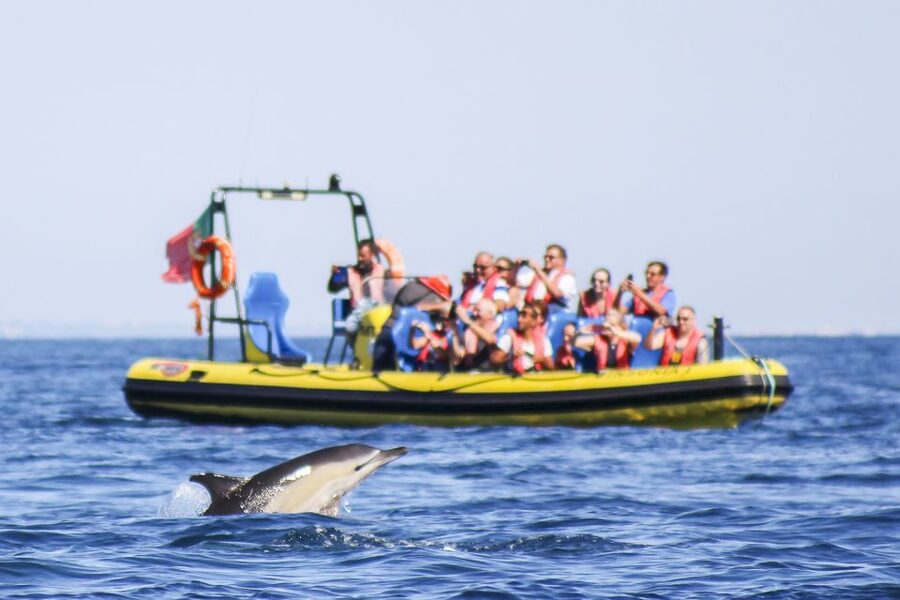 Albufeira: Benagil Caves & Dolphin Watching Speed Boat Tour - Cruising the coast (18 km) and spotting São Rafael and Marinha from the water