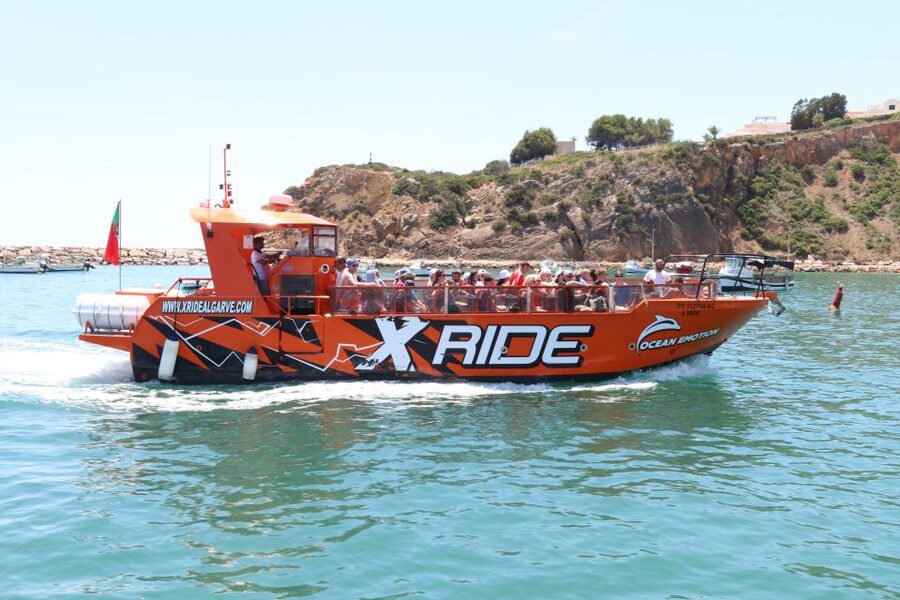 Albufeira: Dolphin Watching and Benagil Cave - Dolphin watching off the Algarve: how the search actually works